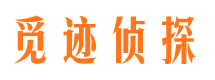 鸡泽调查取证